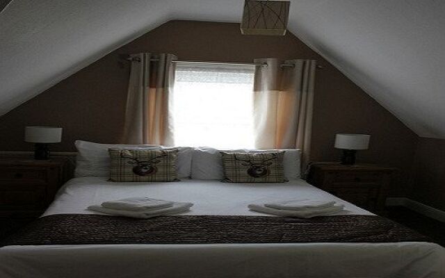 The Elmfield