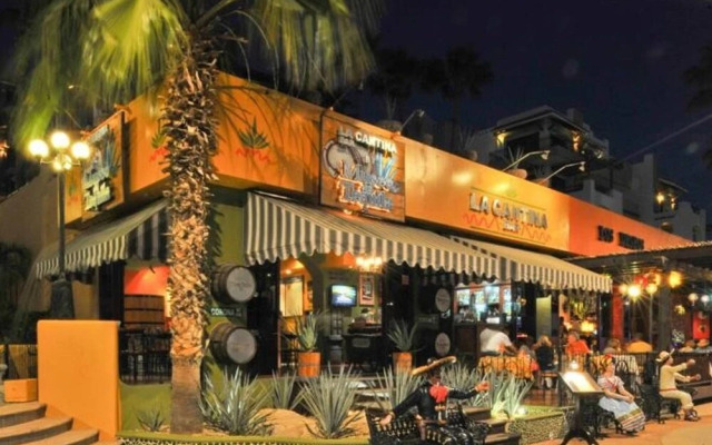 Nicest JR Suite Studio IN Cabo Downtown Marina, Cabo San Lucas