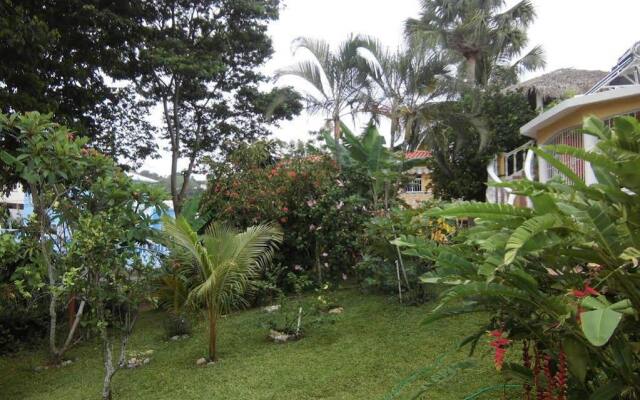 Caribe Del Sol