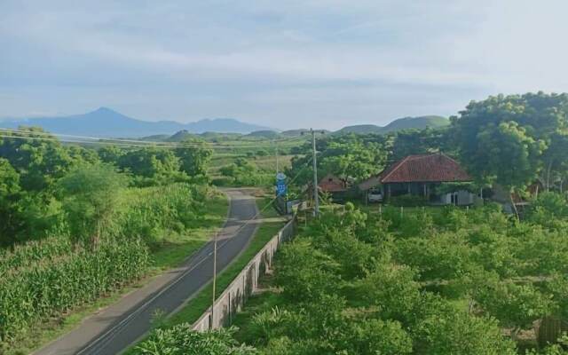 Ekas Garden Bungalow