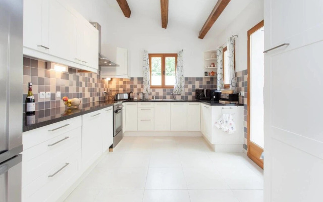 Hirondelle in Charming Village