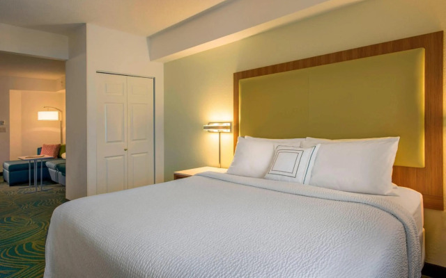SpringHill Suites by Marriott Charlotte Airport