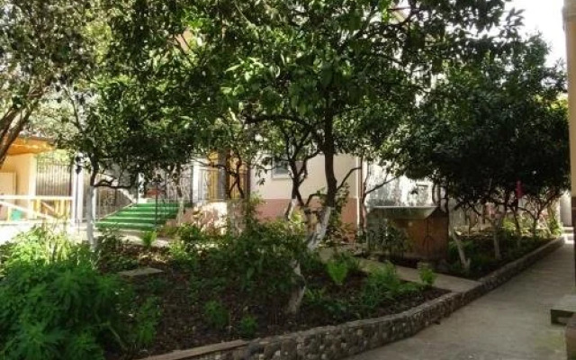 Guest house Kamelia