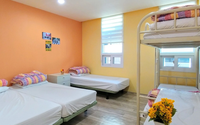 Hostel Tommy
