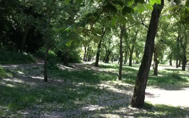 The Frogs and Company