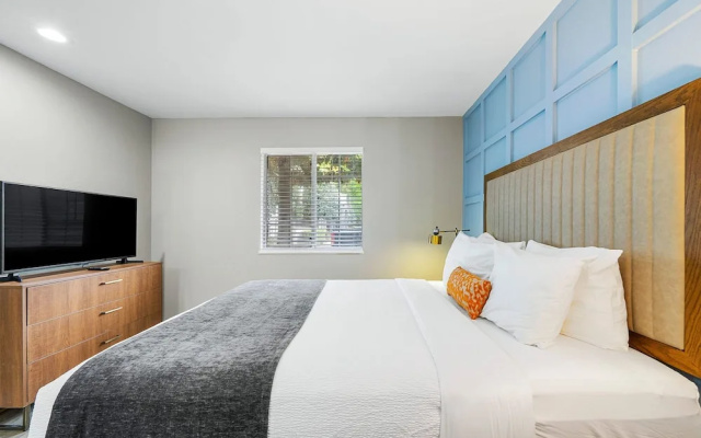 Newly Renovated Atlanta Gem Central Buckhead Apt