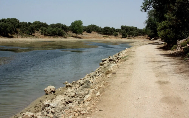 Dar El Bali