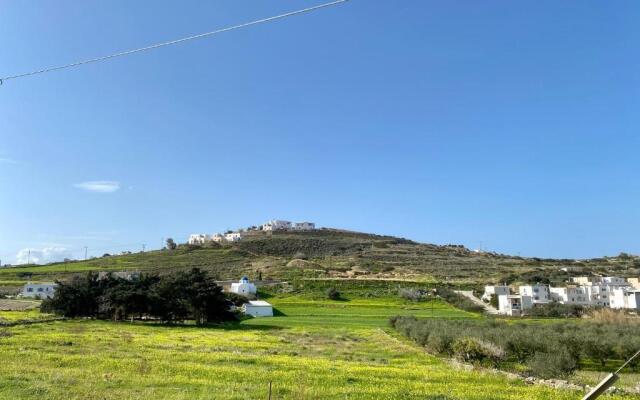 Olive House Apartment Paros