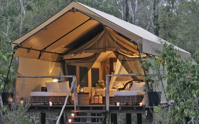 Paperbark Camp