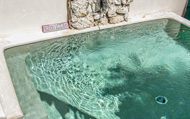 Wild Coffee Retreat - Adults Only