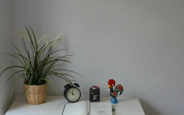 Charming Apartment to feel Lisbon