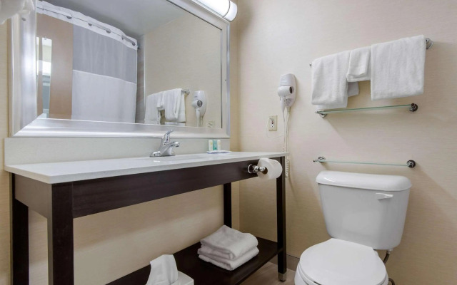 Quality Inn & Conference Centre Downtown