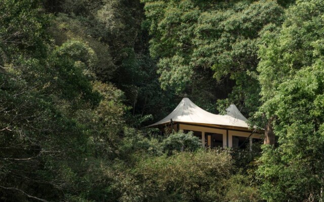 Four Seasons Tented Camp Golden Triangle