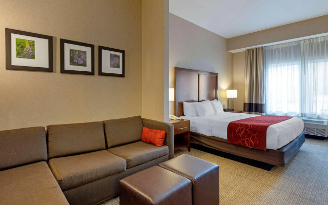 Comfort Suites Anchorage International Airport
