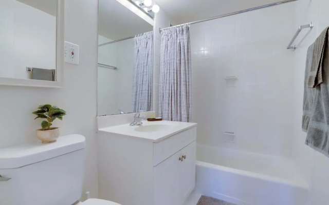 Beautiful & Spacious Apt in Crystal City