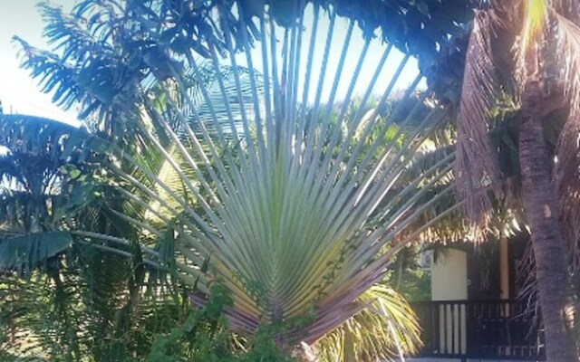 Studio in Les Anses-d'arlet, With Wonderful Mountain View, Enclosed Garden and Wifi