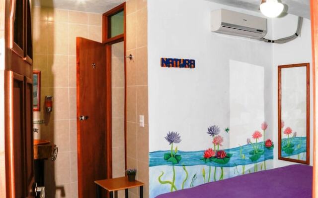 Hostel Natura