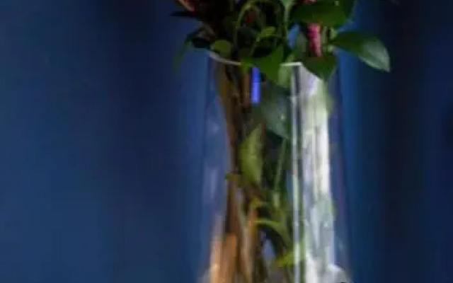 Páteo Lisbon Lounge Suites