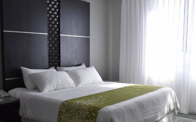 Hotel Araiza San Luis