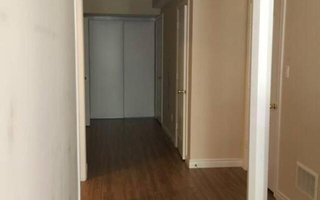 Pet friendly, Walkout Ravine basement