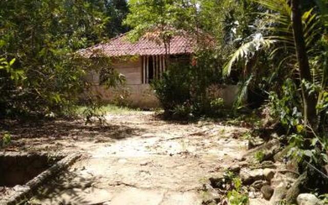 Ecoparque Agua Selva