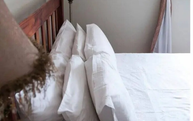 Shady Pines Guest House