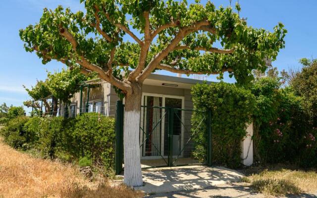 Petrakis Afrathias garden house