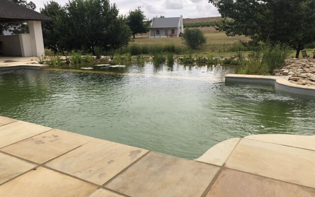 Rijks Wine Estate and Hotel - Adults Only