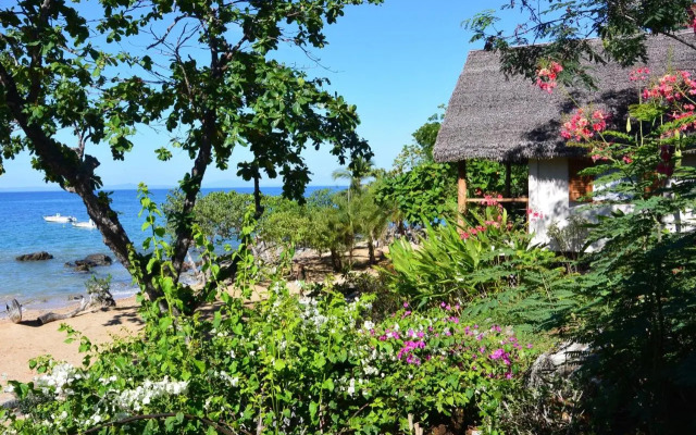 Coco Komba