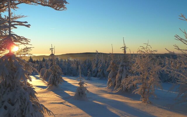 Ferienhaus Winterberg