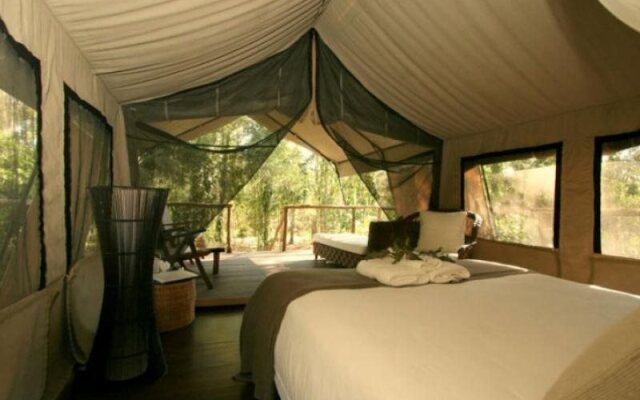 Paperbark Camp