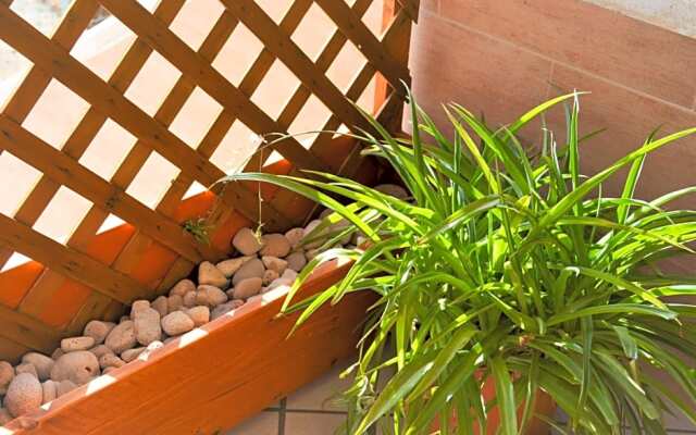 Salenterra B&B (Salento)