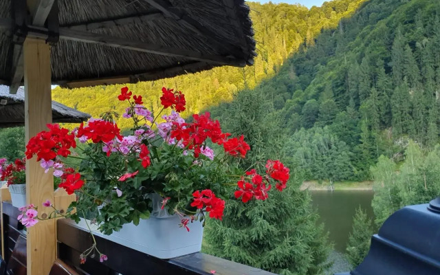 Hotel Popasul Regelui Transalpina
