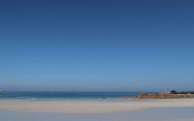 Les Courlis (TTT100)