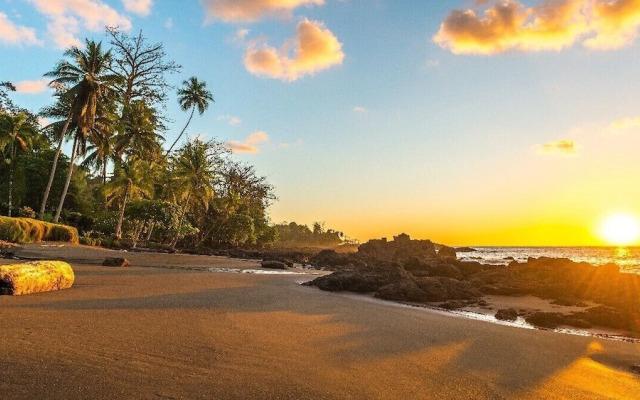 Hotel Carlota Tamarindo
