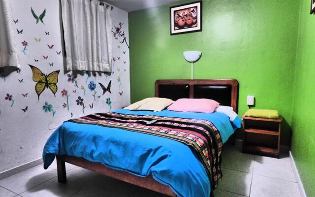 The Grasshopper Hostal Plaza de Armas