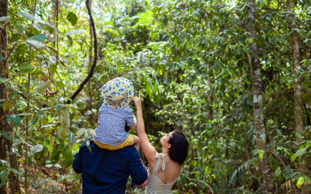 The Canopy Rainforest Treehouses and Wildlife Sanctuary