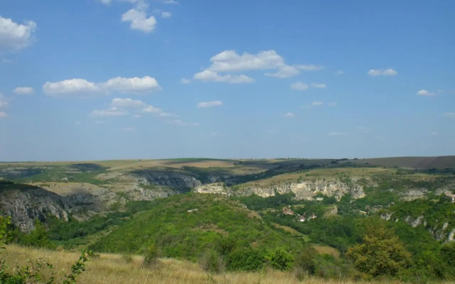 Guest House Intrigue