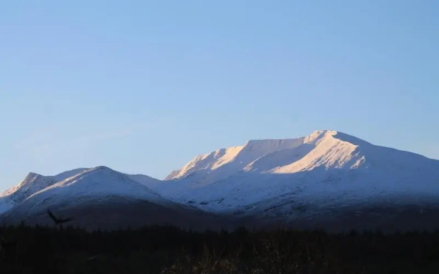 The Braes Guest House
