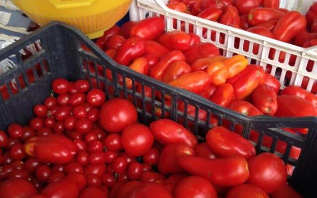 B&B Porchiano del Monte