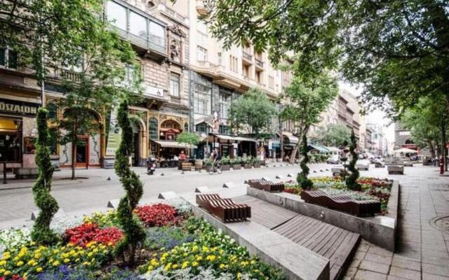 Cozy Downtown Studio Apartment