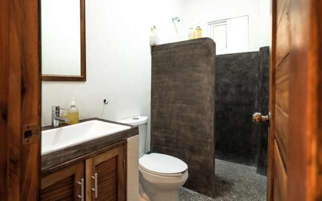 bonobo living apartments