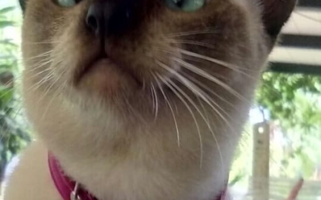 Steelloft  Home Stay