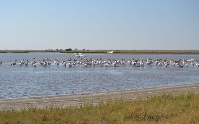 Chobe Sunset Chalets