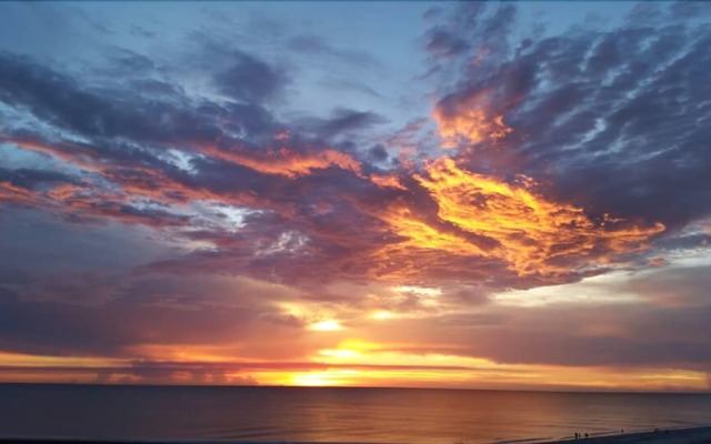 Beach Palms 409