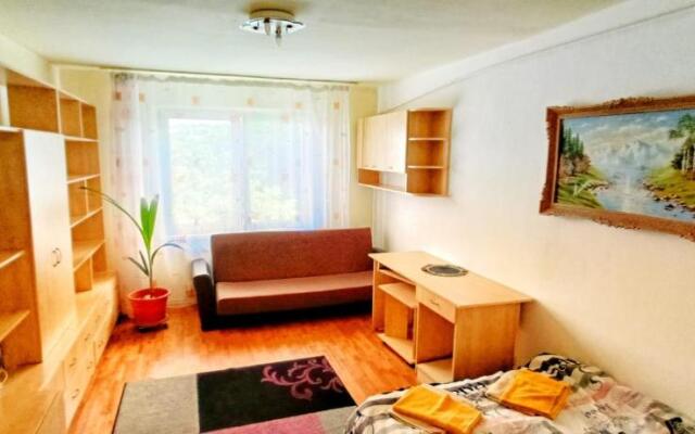 Apartment Niceview