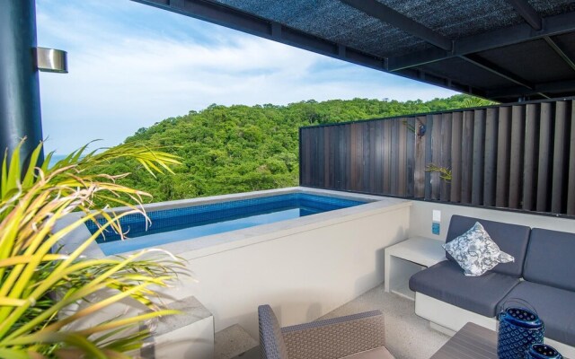 Agaves 204