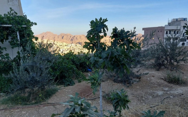 Petra Guests Hotel