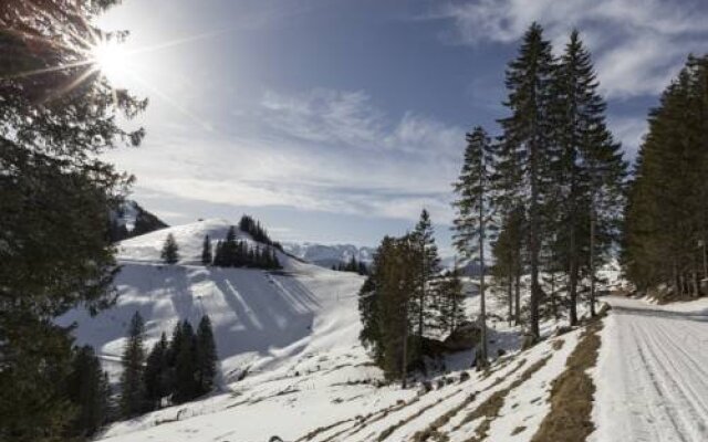 Hotel Rigi First