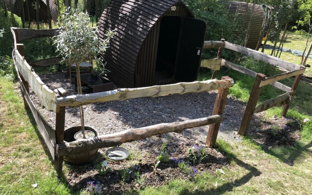 Edinburgh Cabin Camping